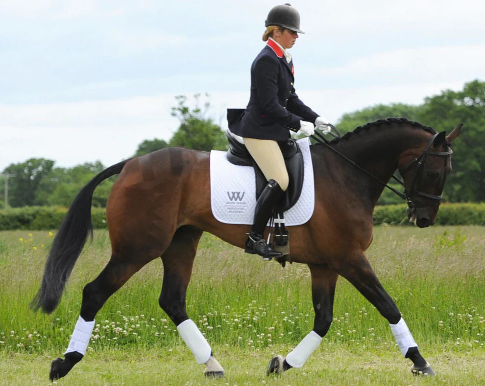 Guêtres Woof Wear double velcro – Image 6