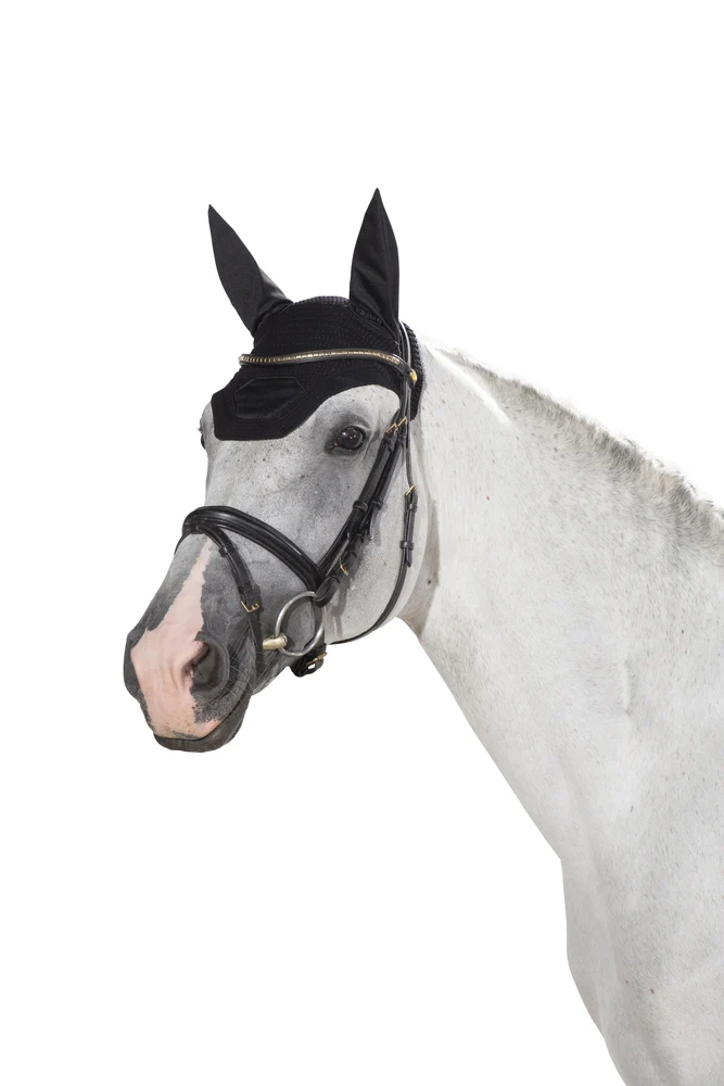 Bonnet Eskadron Sport Mute