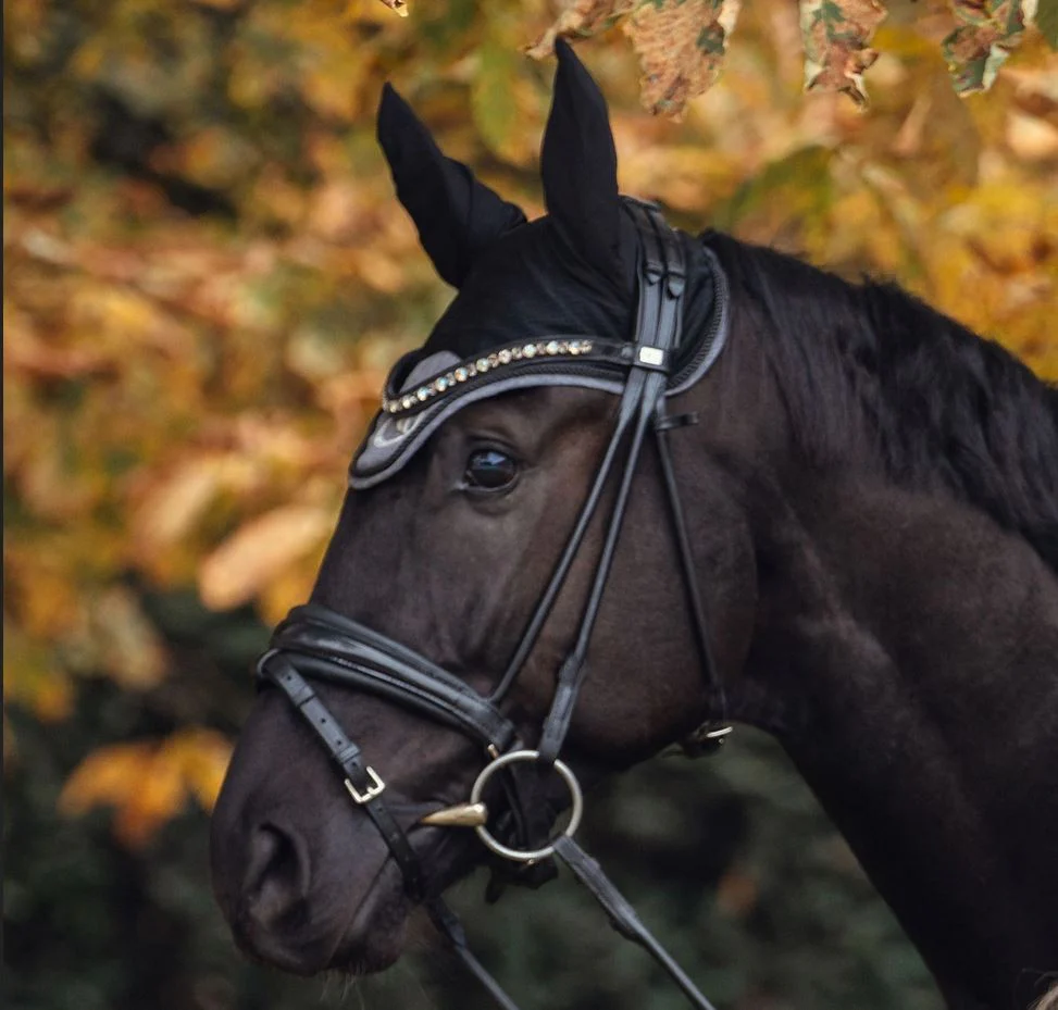 Bonnet Haze Collection Back on Track – Image 6