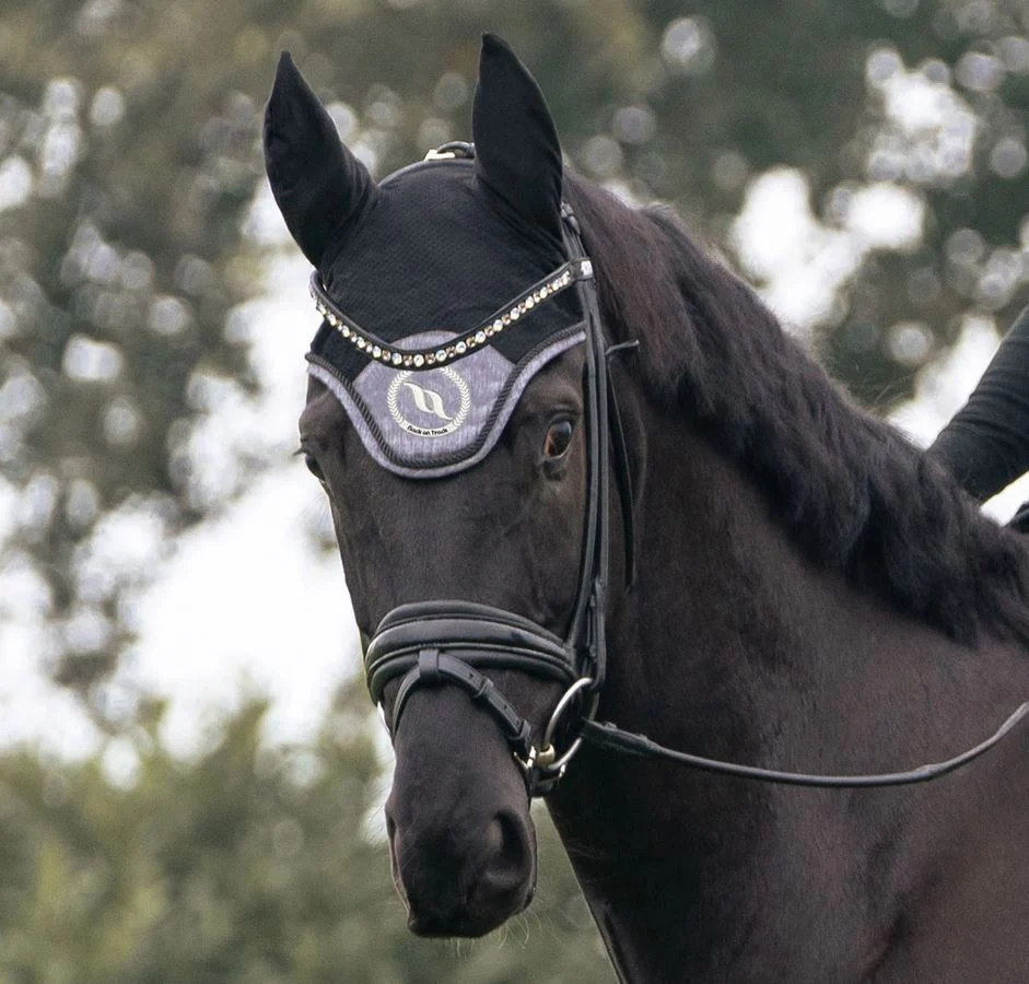 Bonnet Haze Collection Back on Track – Image 5