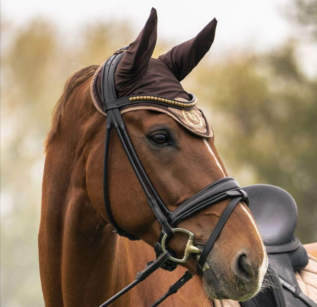 Bonnet Haze Collection Back on Track – Image 9