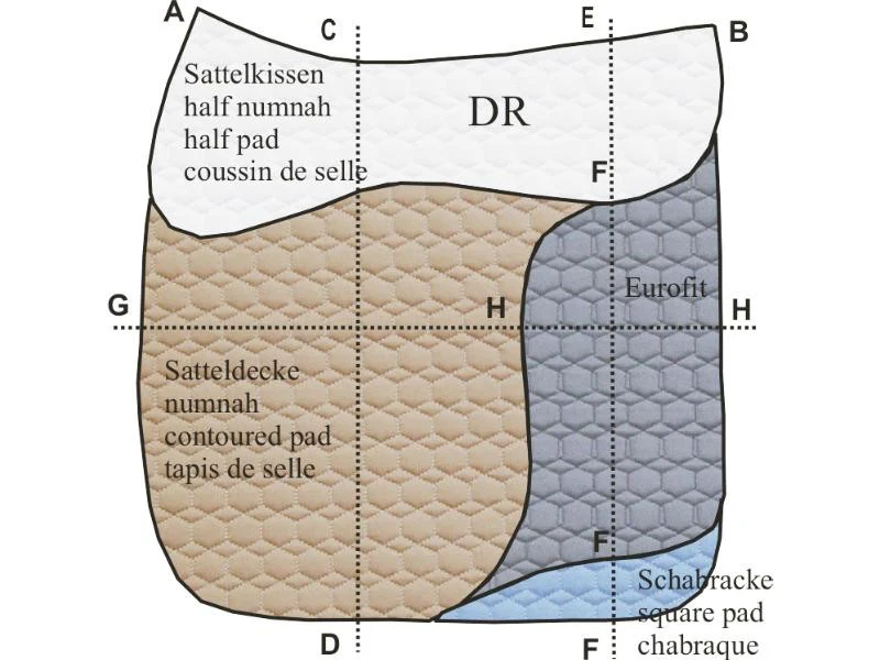 Amortisseur en mouton forme dressage avec Correction system – Image 5