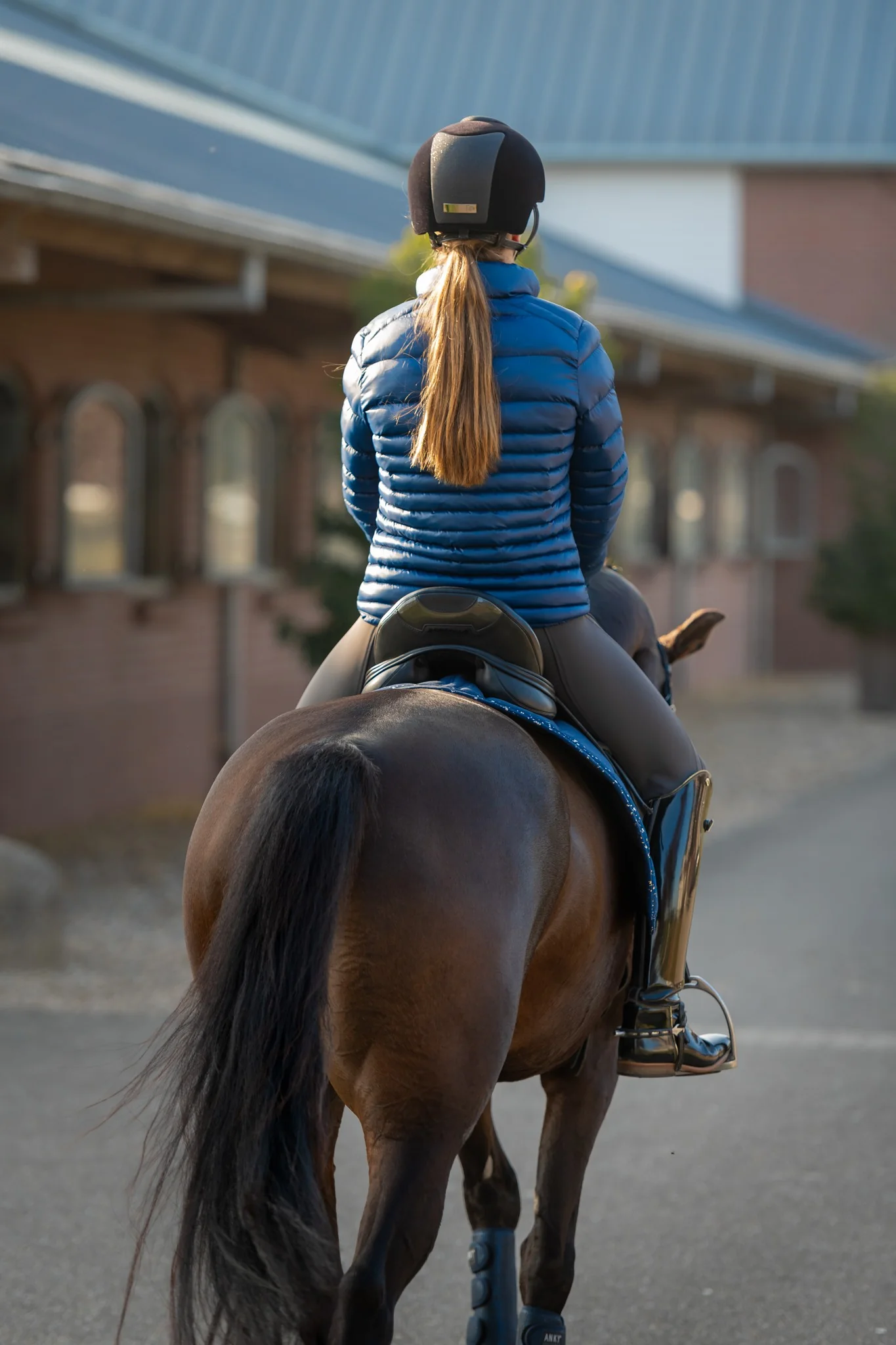 Blouson matelassé WHIS Coach – Image 8