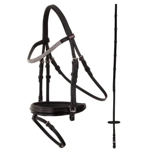 Bridon Premiere Ajaccio