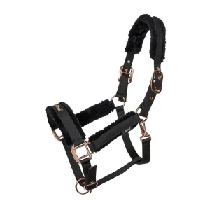 Licol Haze collection Back on Track