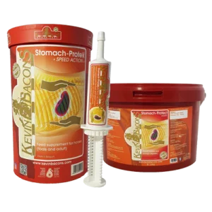 KEVIN BACON’S Stomach-Protek