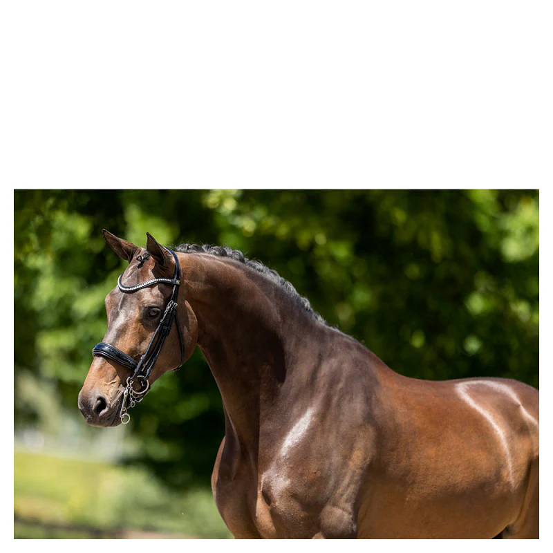 Bride BR Keswick – Image 2