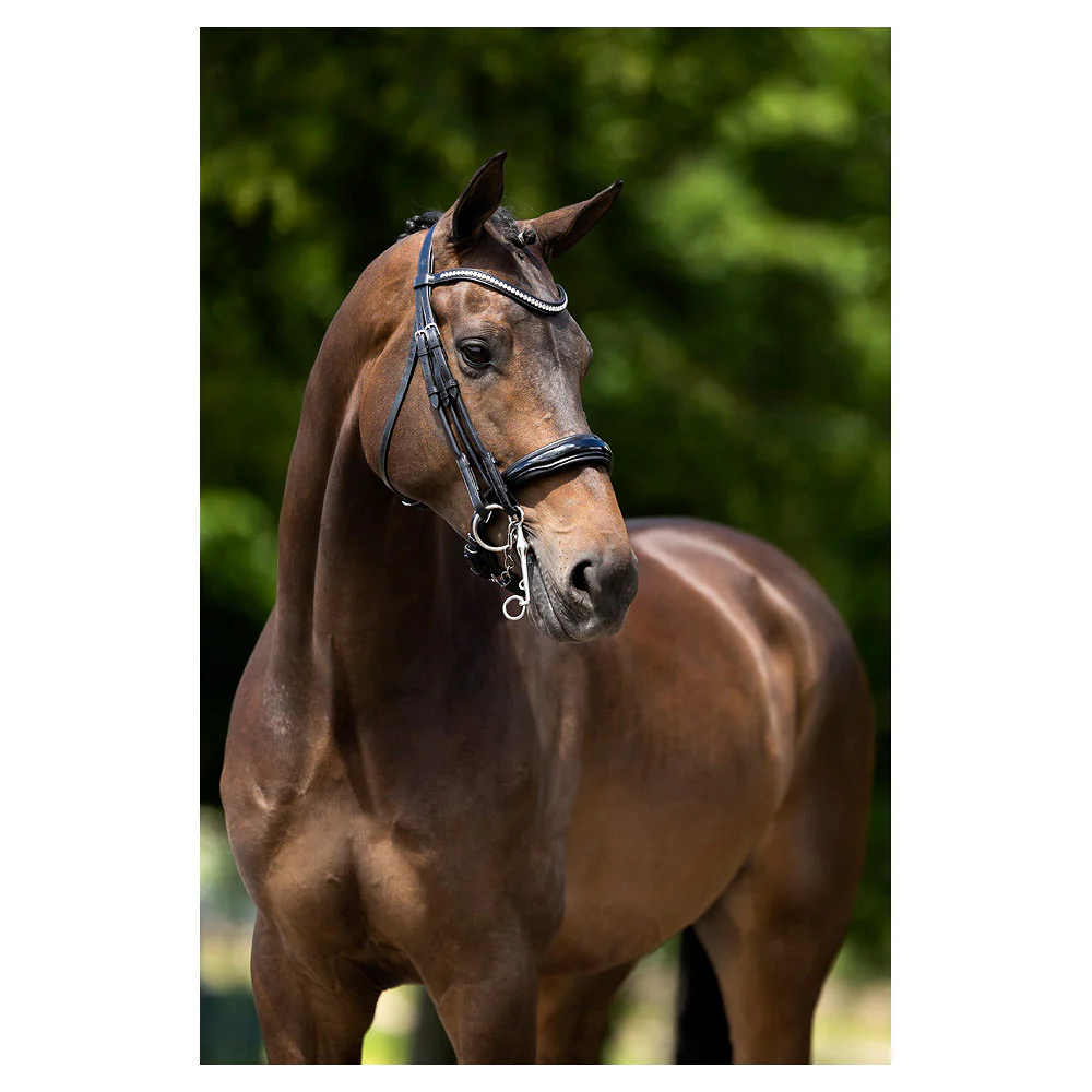 Bride BR Keswick – Image 3