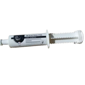 OR-Electrolytes Seringues de 60 ml