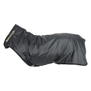 Couverture de marcheur Back on Track