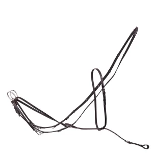 Enrênement Howlett (Thiedemann) Premiere