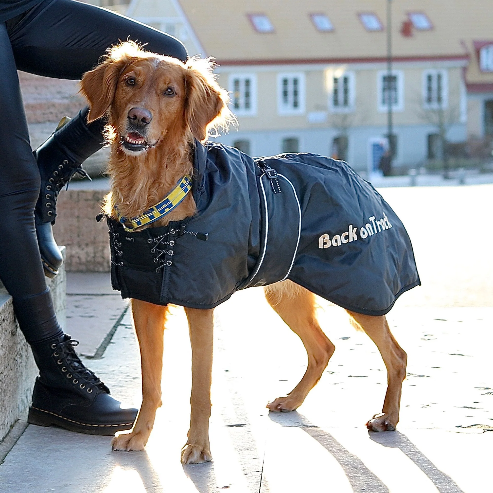 Manteau Standard pour chien Back on Track – Image 2