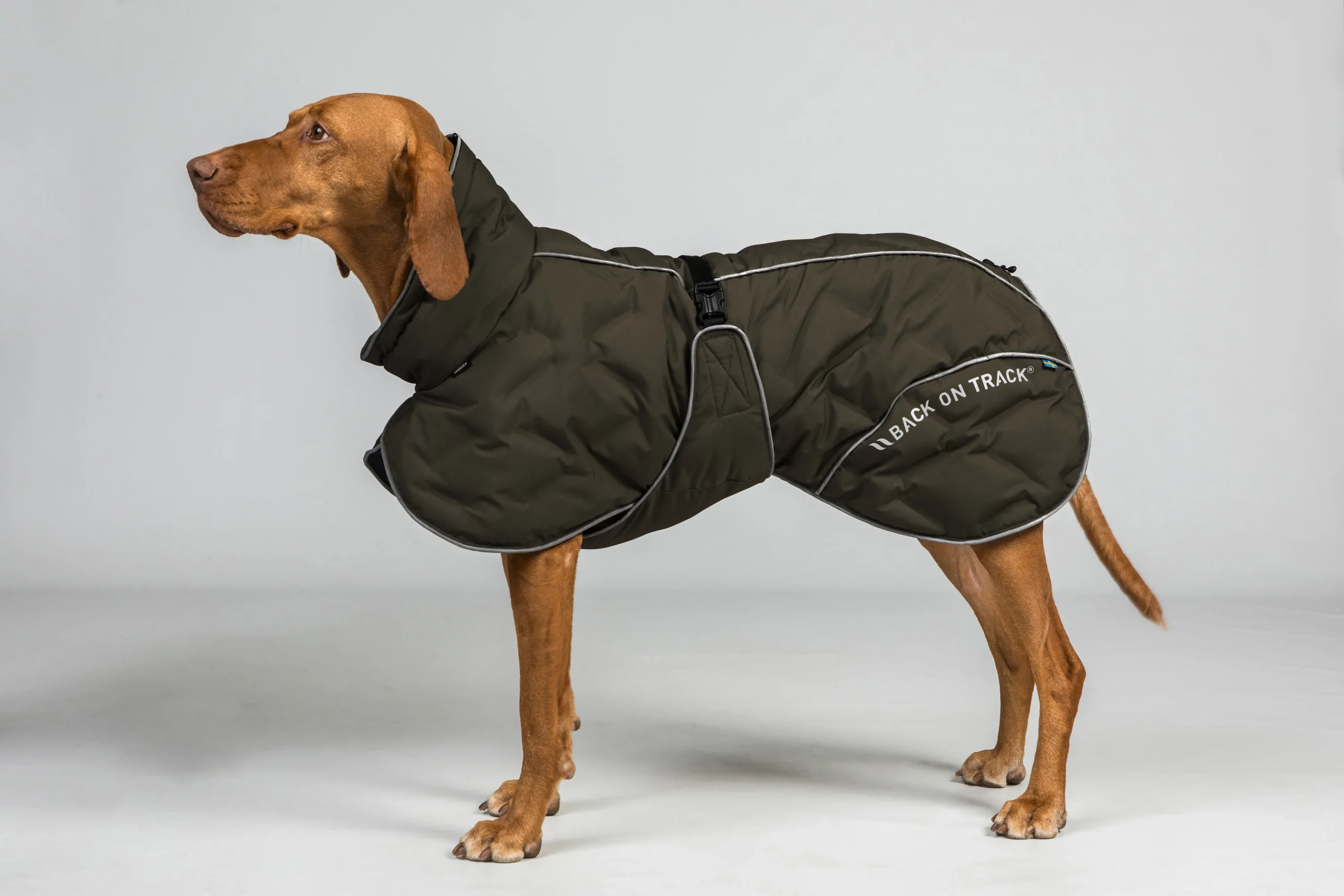 Manteau thermique pour chien queue haute BAY – Back on Track – Image 4