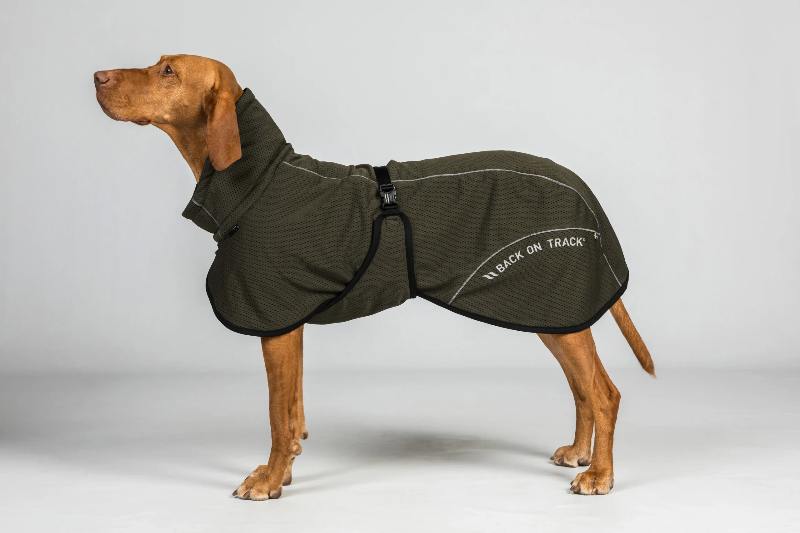 Manteau Filet pour Chien Queue Basse BAY Back on Track – Image 2