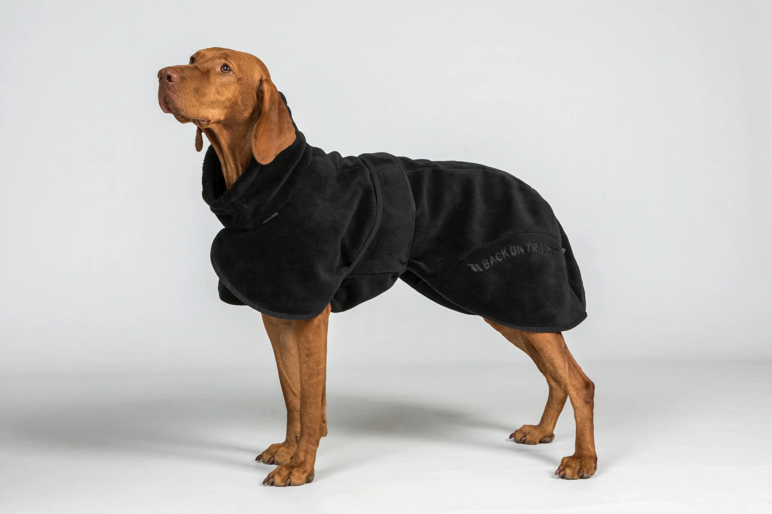Manteau BAY Séchage Rapide pour Chien – Queue Basse - Back on Track – Image 2
