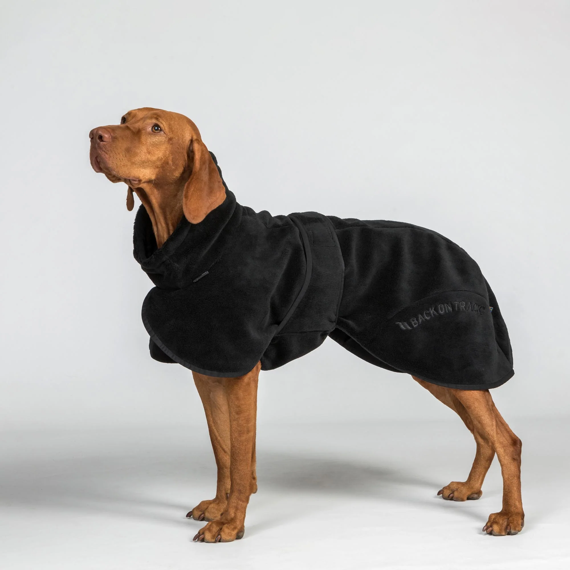 Manteau BAY Séchage Rapide pour Chien – Queue Basse - Back on Track – Image 6
