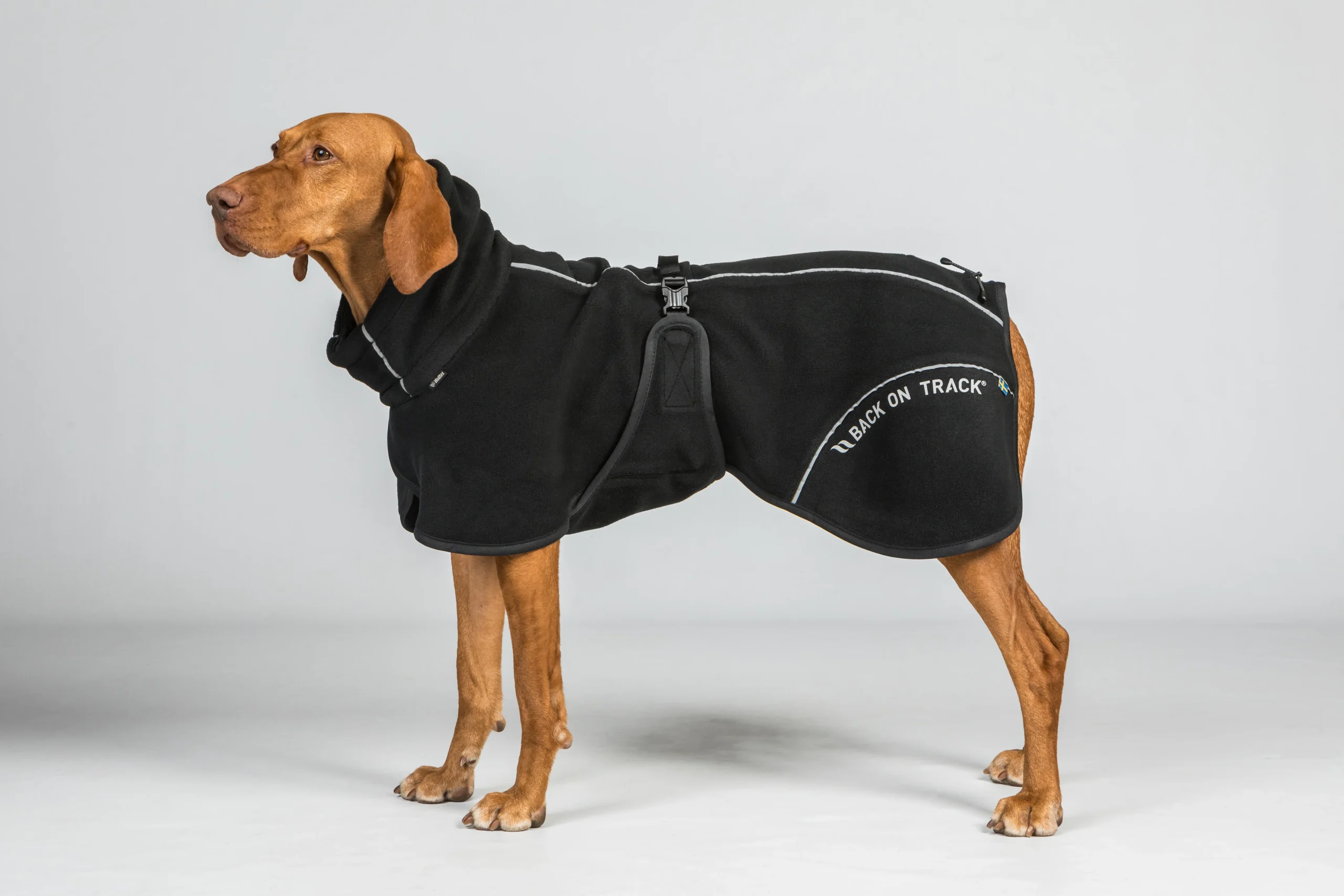 Manteau Polaire pour Chien Queue Haute – BAY Back on Track – Image 5