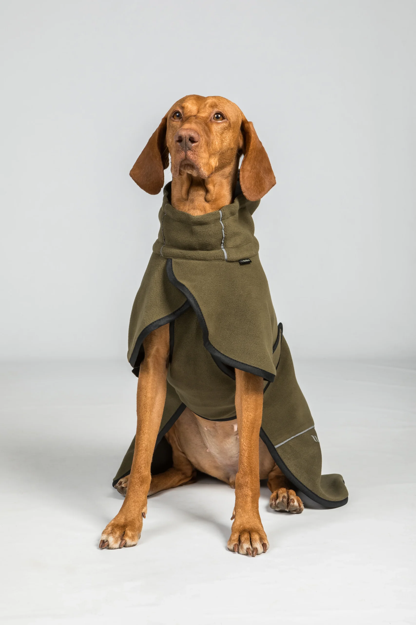 Manteau Polaire pour Chien Queue Haute – BAY Back on Track – Image 6