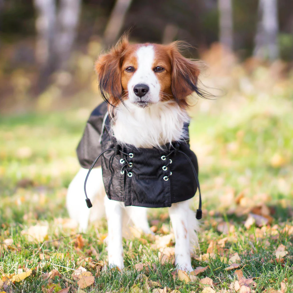 Manteau pour chien imperméable doublé Back on Track – Image 5