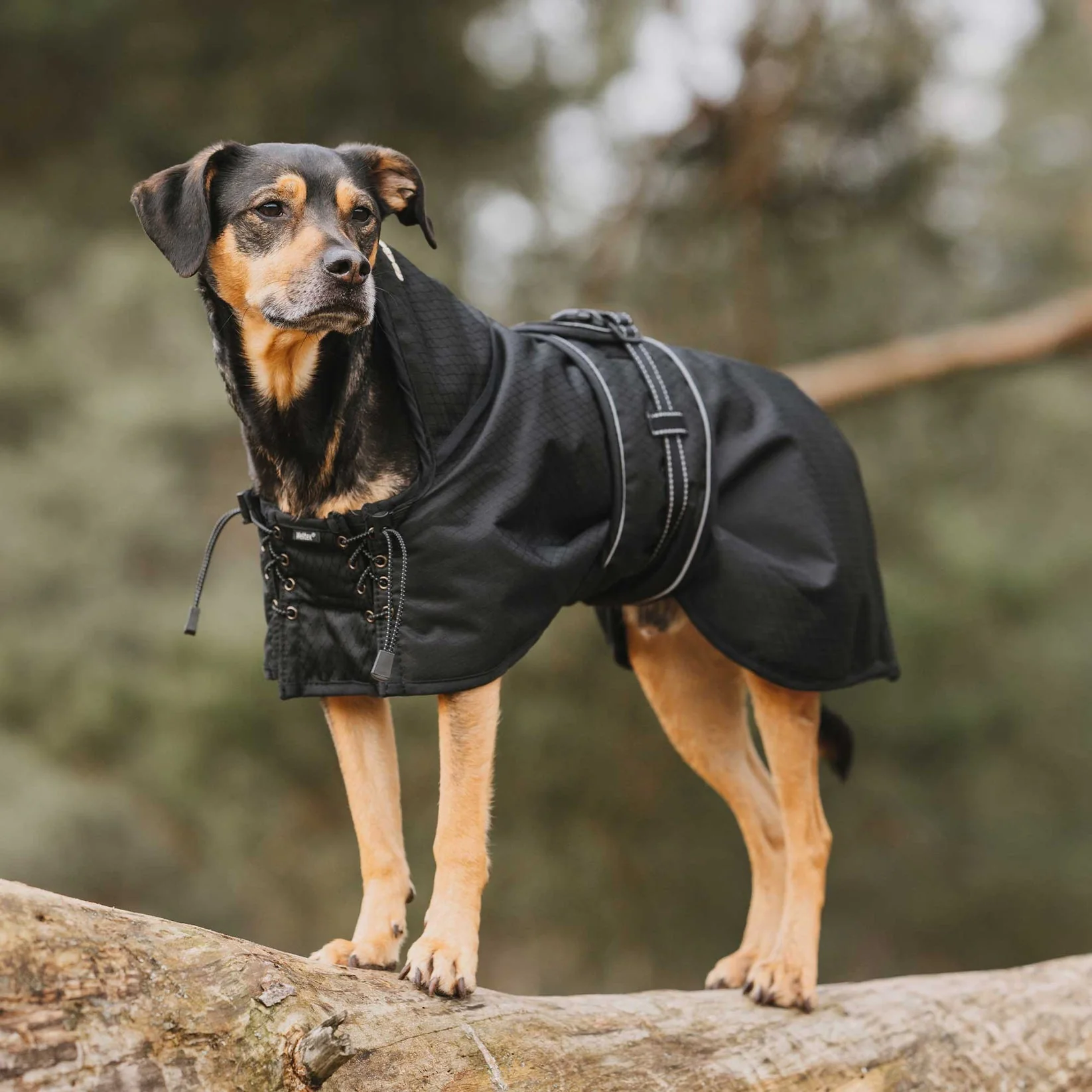 Manteau pour chien imperméable doublé Back on Track – Image 8