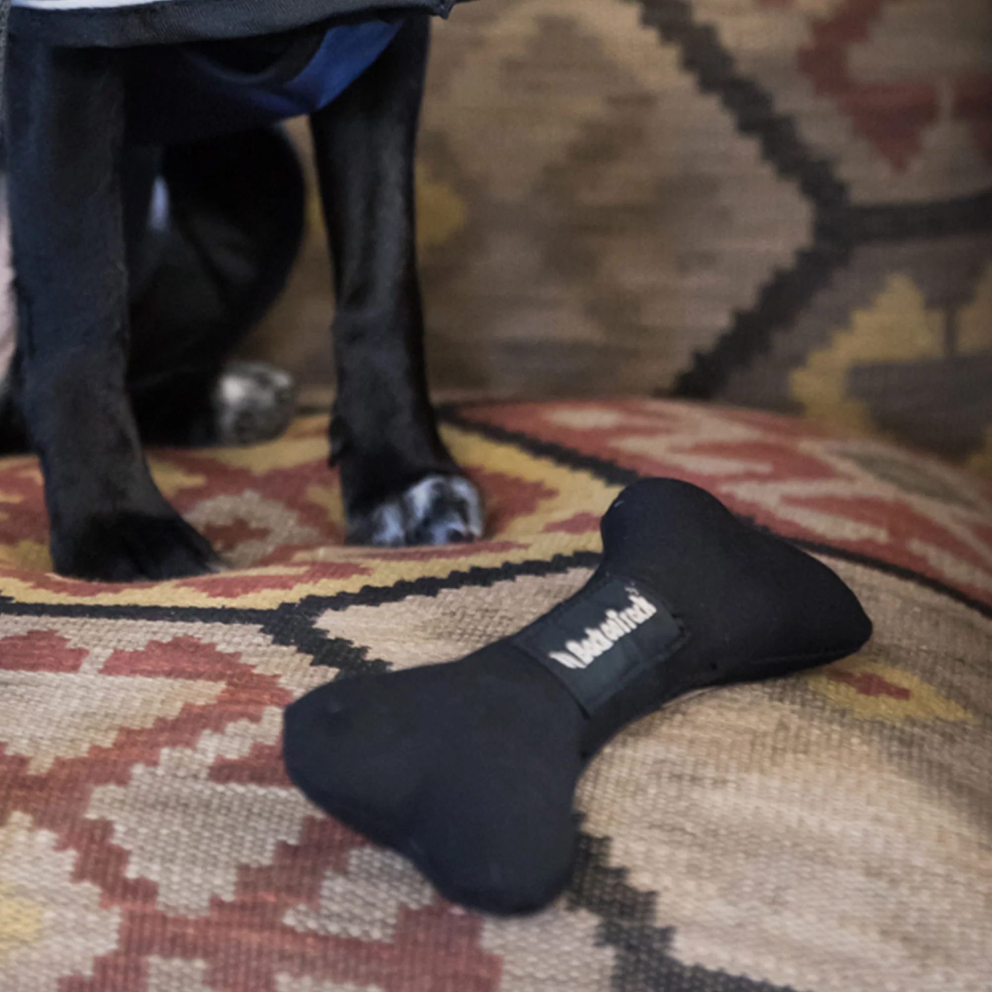 Jouet pour Chien Back on Track - Os Souple â Image 3
