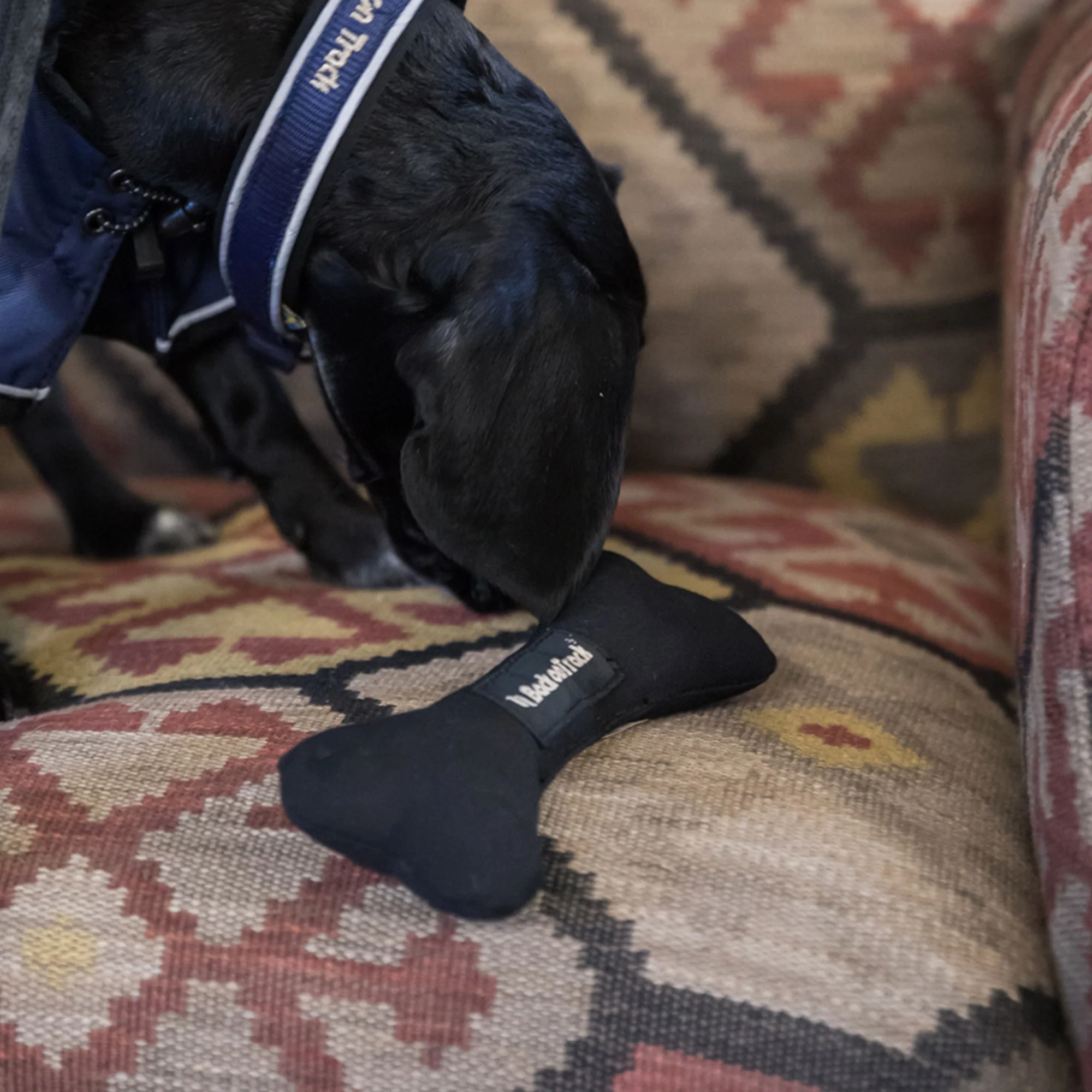 Jouet pour Chien Back on Track - Os Souple â Image 4