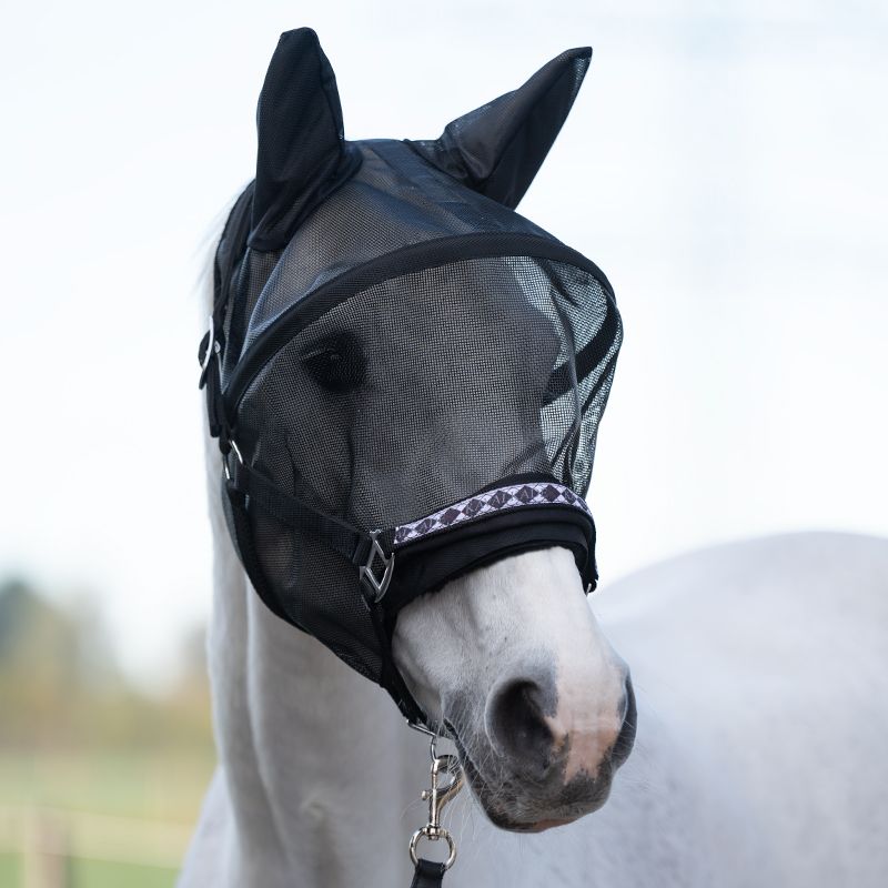 Fly Mask avec arceau Kavalkade – Image 3