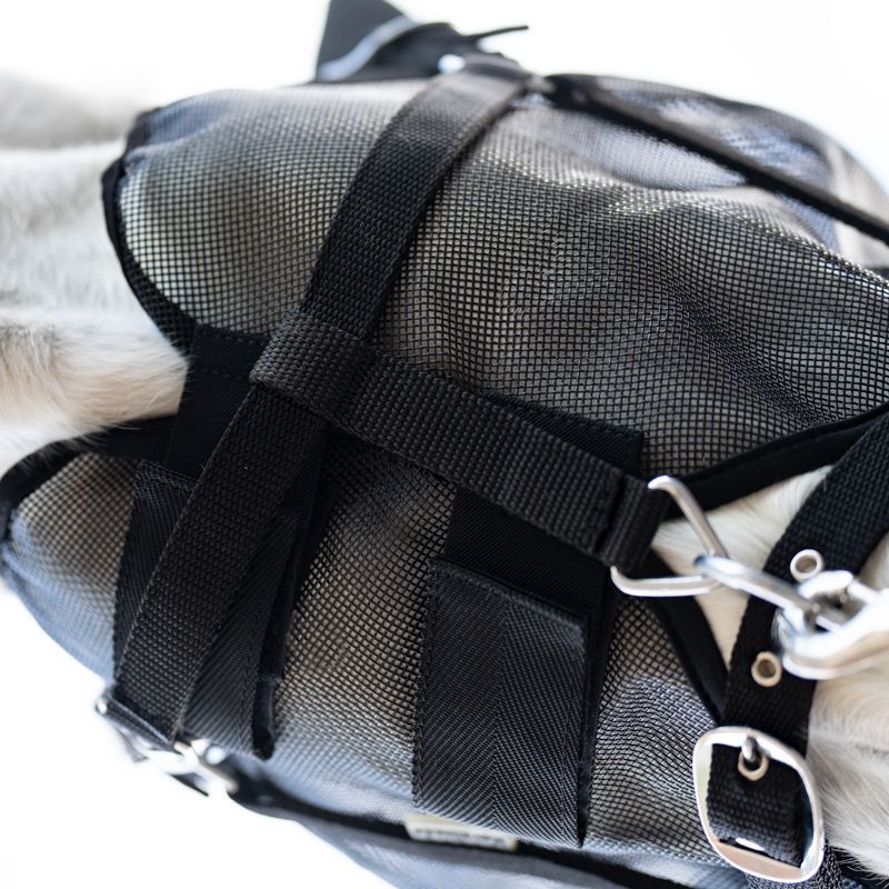 Fly Mask avec arceau Kavalkade – Image 5