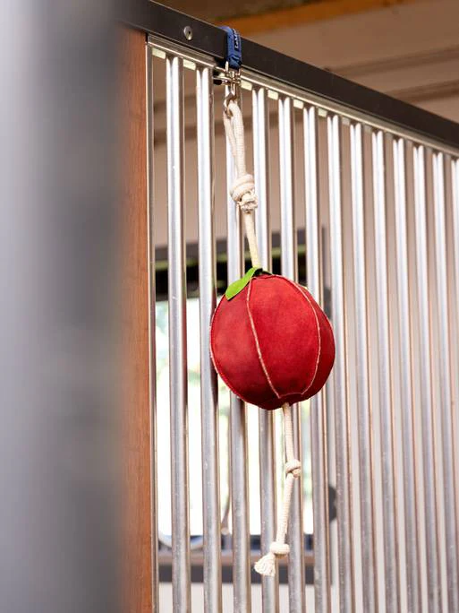 Horse Toy Apple – Image 2