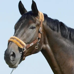 Licol Classic Sport Eskadron mouton