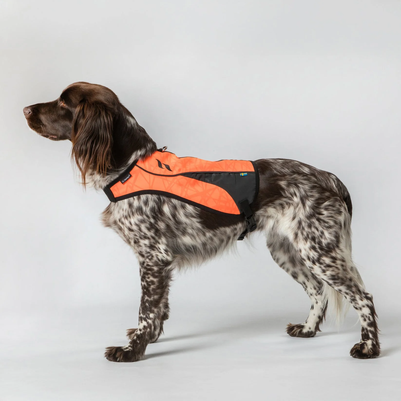 Gilet de Visibilité pour Chien POINT Back on Track – Image 3