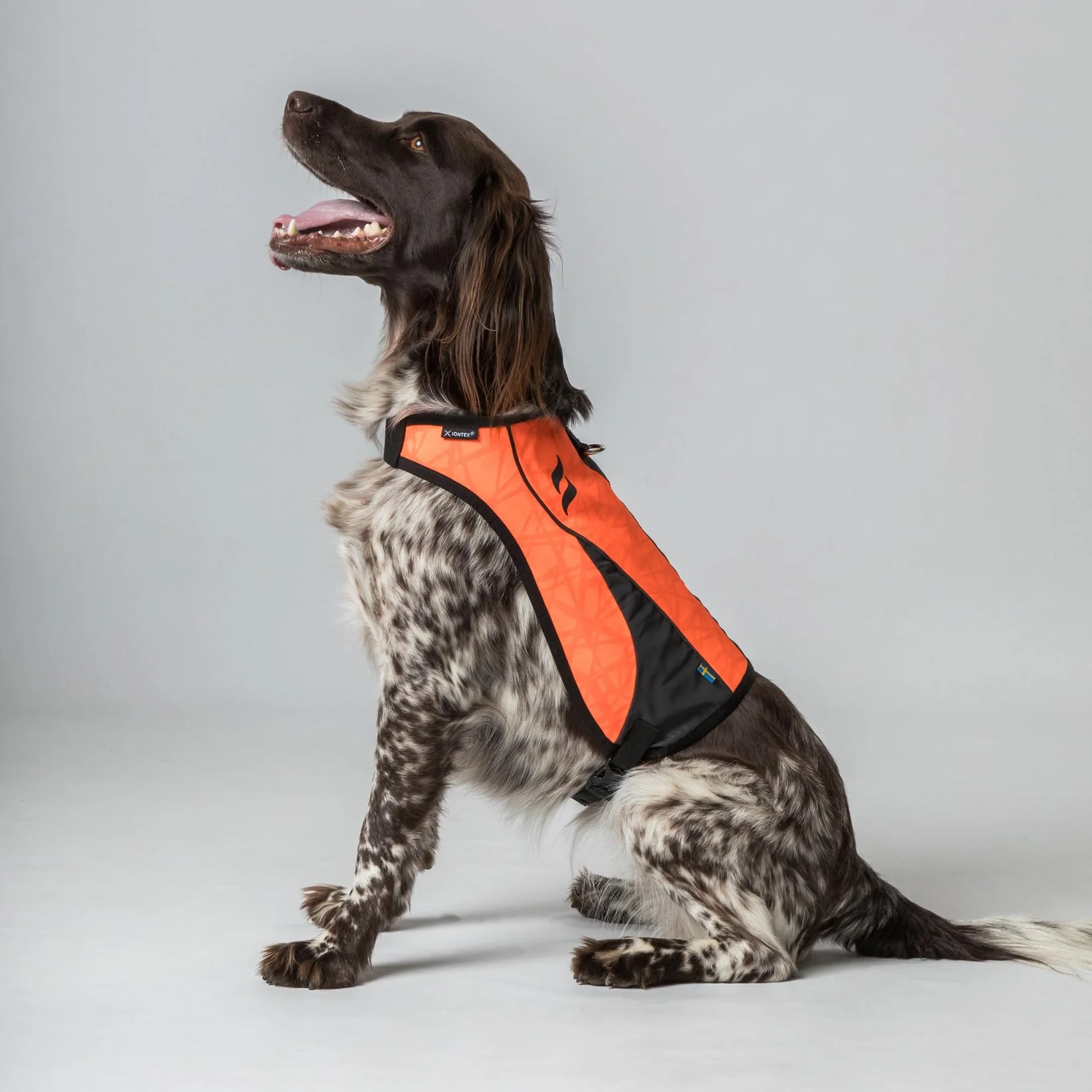 Gilet de Visibilité pour Chien POINT Back on Track – Image 7