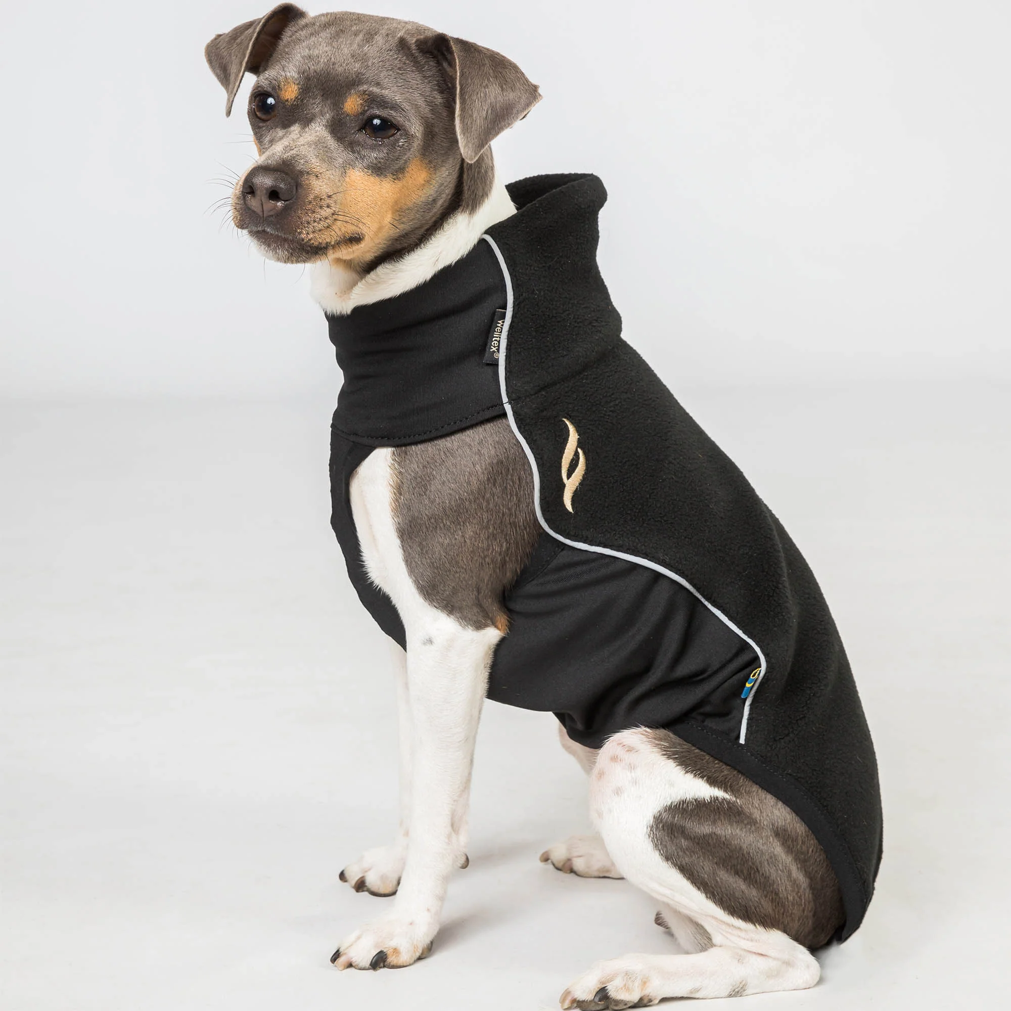 Pull polaire pour petit chien "Eddie" Back on Track – Image 2