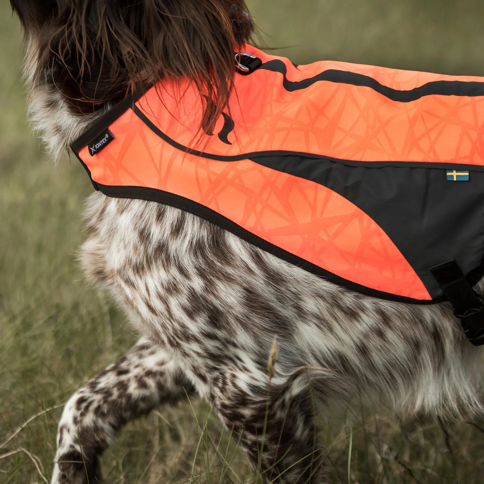 Gilet de Visibilité pour Chien POINT Back on Track – Image 4