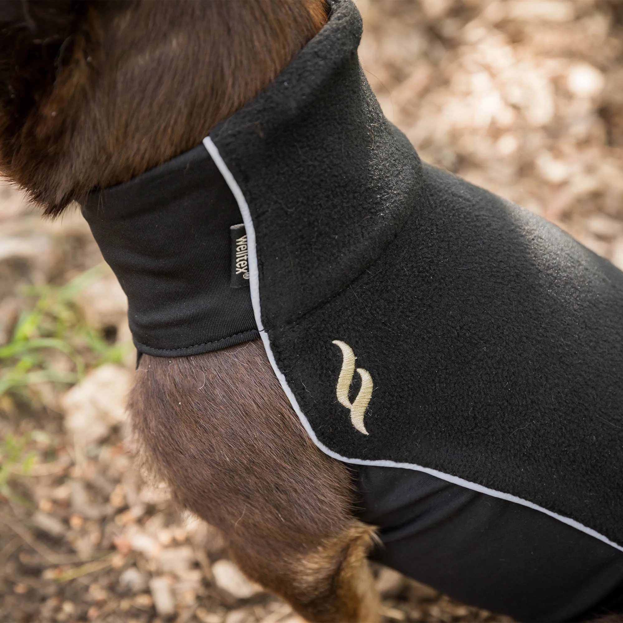 Pull polaire pour petit chien "Eddie" Back on Track – Image 6