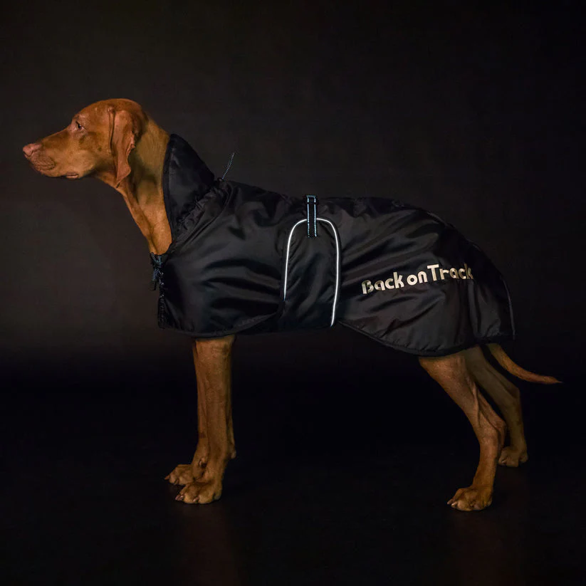 Manteau Standard pour chien Back on Track – Image 7