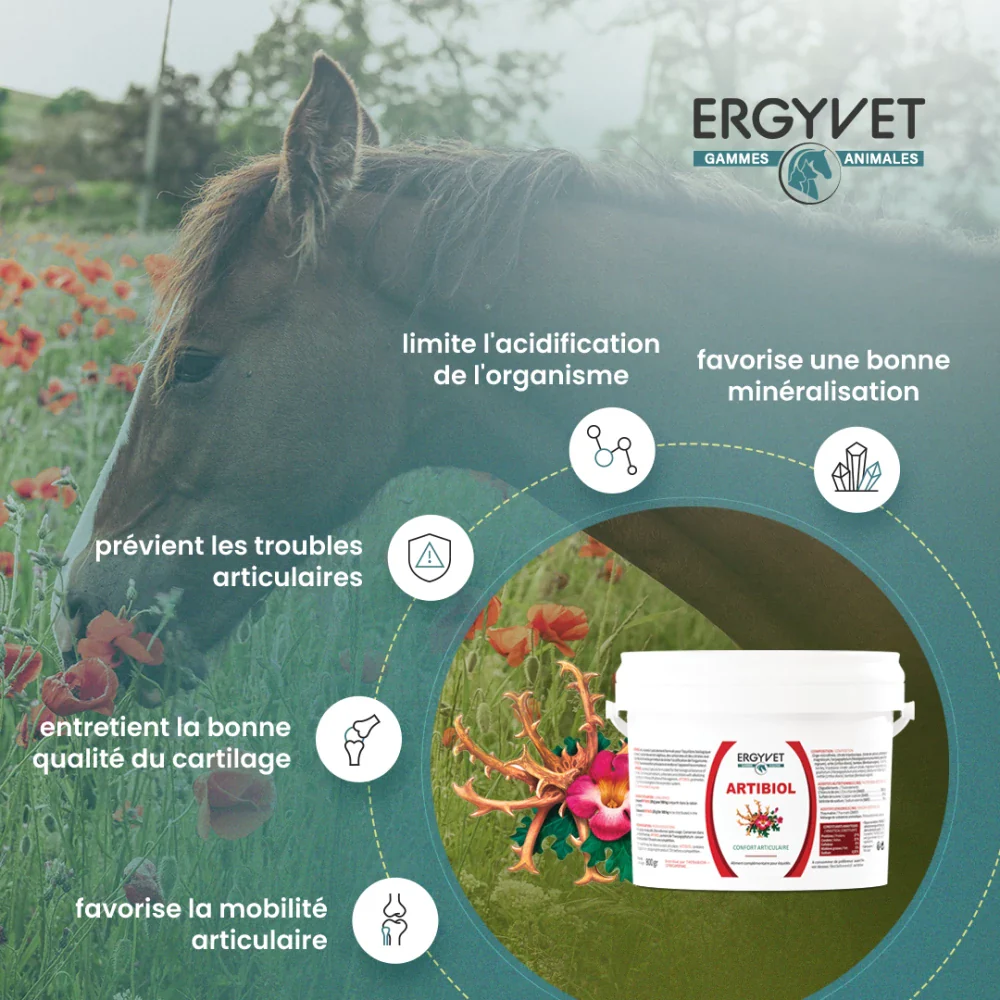 Ergyvet Artibiol - Confort articulaire pour le cheval – Image 2