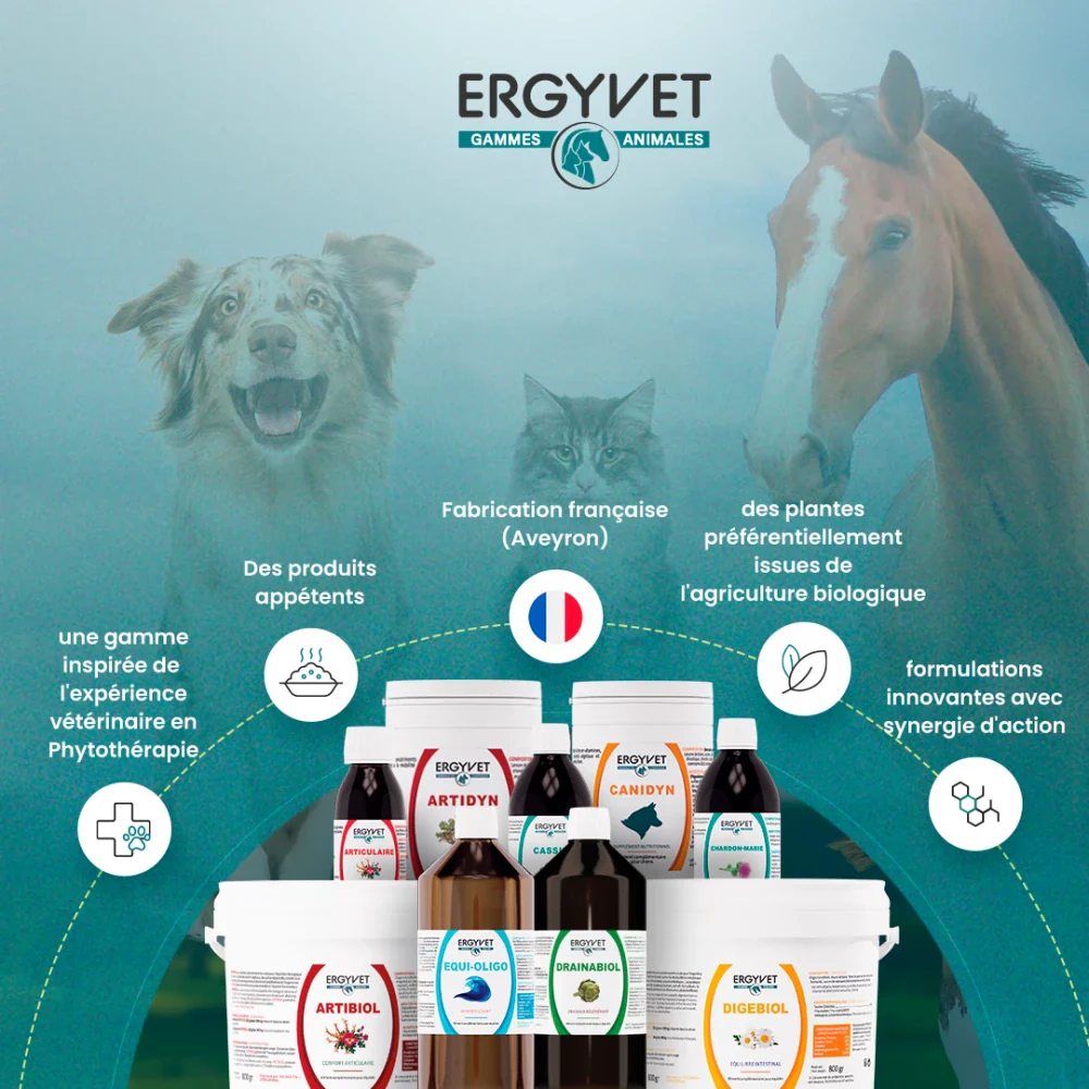 Ergyvet Artibiol - Confort articulaire pour le cheval – Image 3