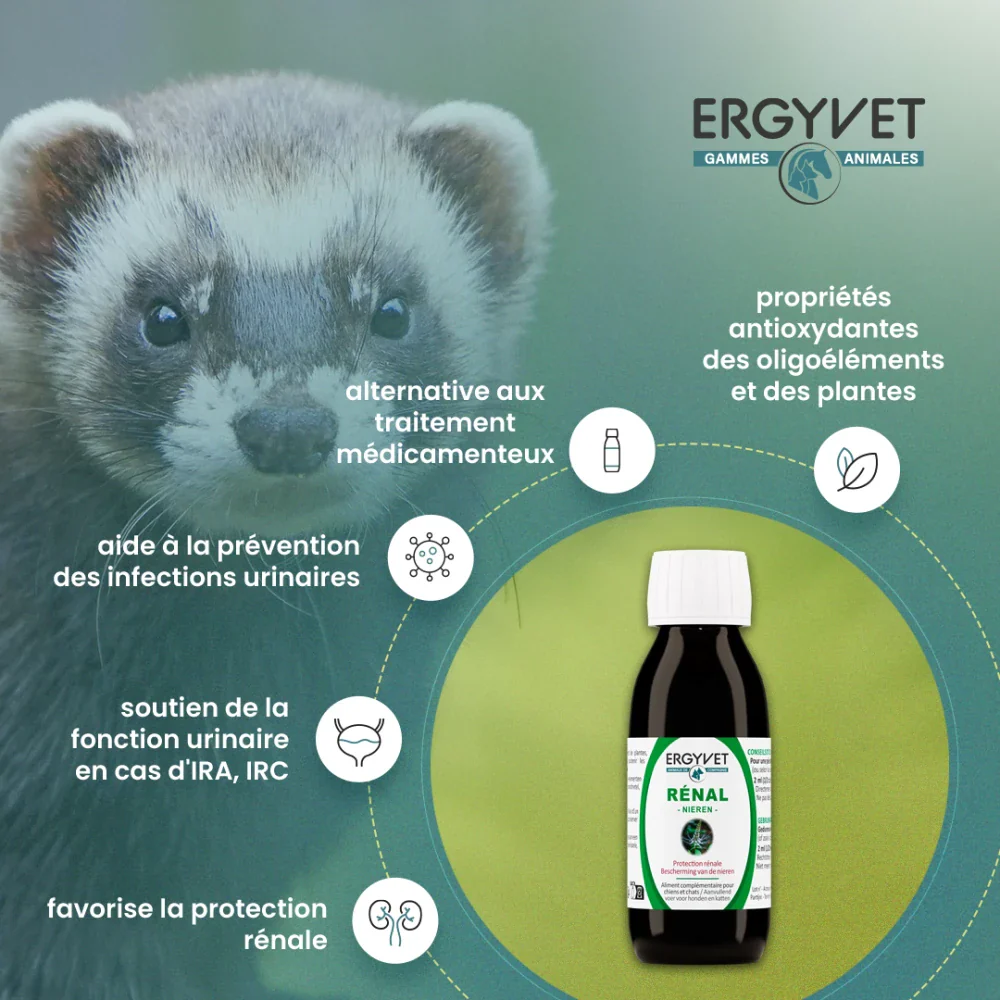 Ergyvet Rénal – Fonction rénale et urinaire – Image 2