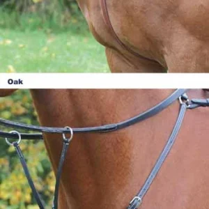 Collier de chasse à pont Avignon Shires