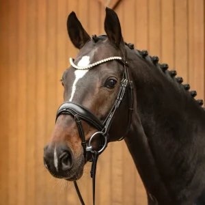 Bridon Favorite Passier by Ingrid Klimke coloris Havane