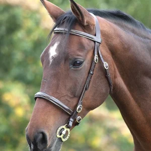 Bridon de présentation Shires Blenheim Fancy