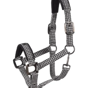 Licol CAVALPEPPY – Cavallo