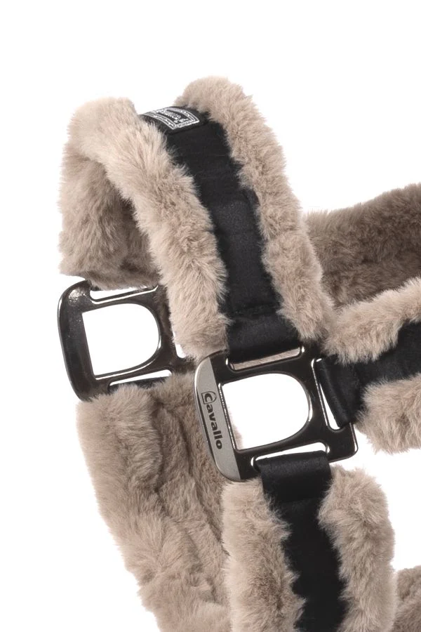 Licol Cavallo CAVALJUNO – Image 2