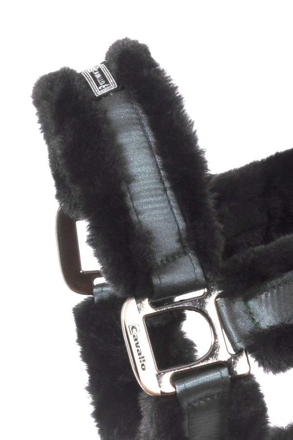 Licol Cavallo CAVALJUNO – Image 4