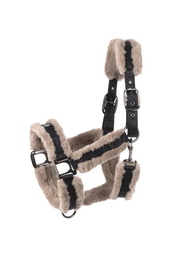 Licol Cavallo CAVALJUNO – Image 6