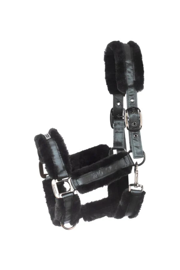 Licol Cavallo CAVALJUNO – Image 8