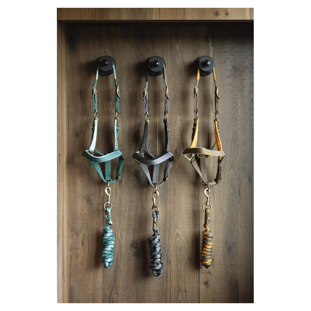 Licol et longe Anky AW24 – Image 4