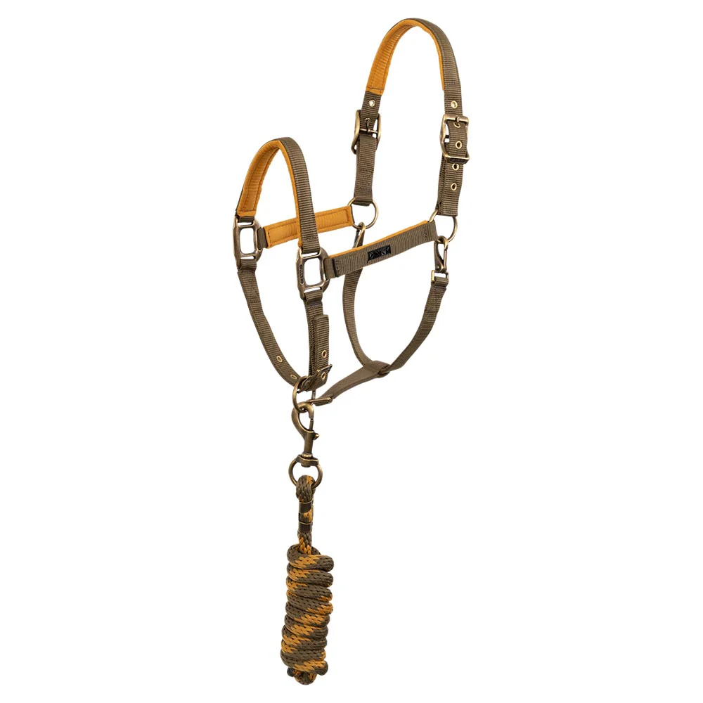 Licol et longe Anky AW24 – Image 2