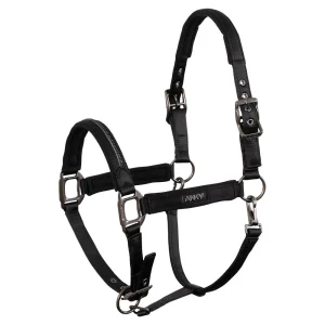 Licol ANKY® Victory